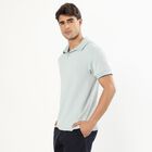 Men's Light Sage Green Polo Neck Solid T-Shirt, Light Green, small