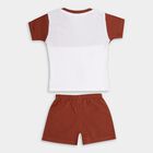 Infant Boys' 100% Cotton Baba Suit , Brown, small image number null