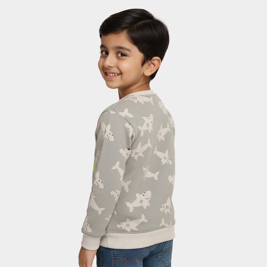Boys Light Grey Crew Neck Casual Sweatshirt, Light Grey, large image number null