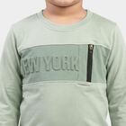 Boys' Mint Green Cotton Round Neck Regular T-Shirt, हल्का हरा, small