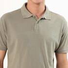 Men's Light Sage Green Polo Neck Casual T-Shirt, हल्का हरा, small image number null