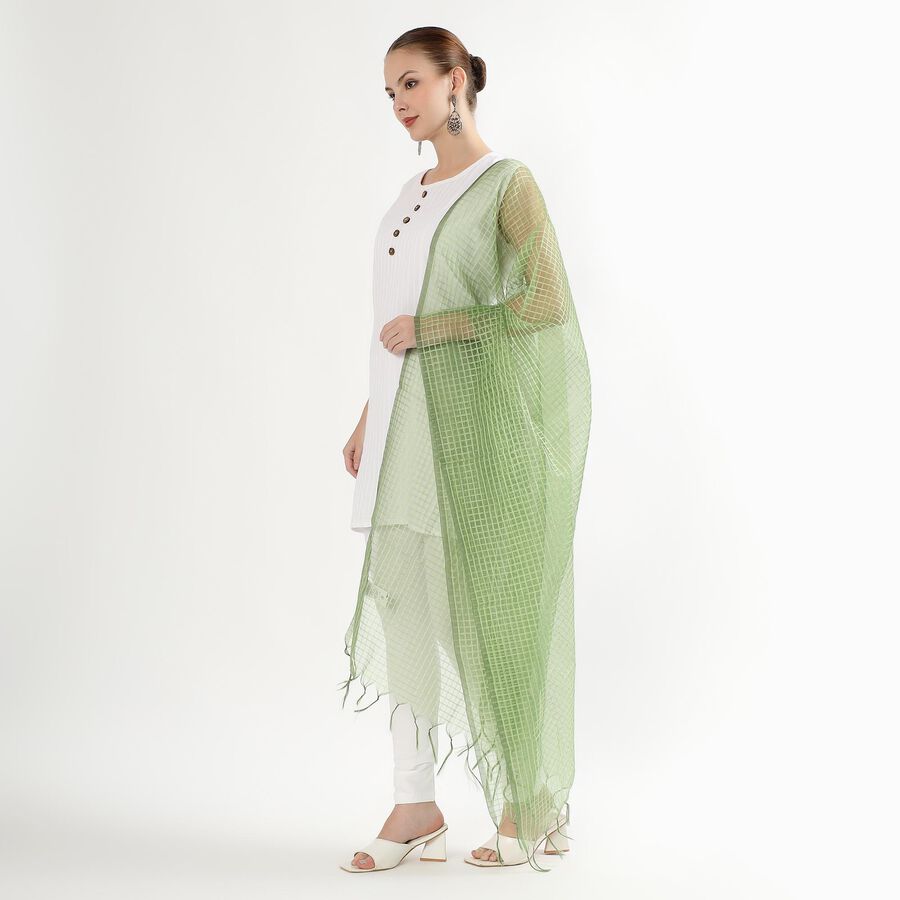 Women's Light Sage Green Checkered Dupatta, हल्का हरा, large image number null