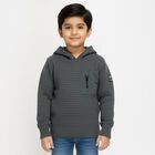 Boys Dark Grey Hooded Knit Pullover, हल्का हरा, small image number null