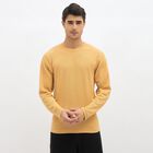 Men's Muted Mustard Round Neck Casual T-Shirt, Mustard, small image number null