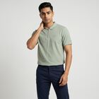 Men's Sage Green Polo Neck Solid Polo T-Shirt, हल्का हरा, small