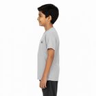 Boys Light Grey Crew Neck Casual Half Sleeve T-Shirt, हल्का ग्रे, small image number null