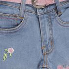 Girls' Light Blue Regular Fit Embroidered Jeans, Mid Blue, small image number null