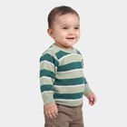 Infants' Olive Green Crew Neck Striped Pullover, ओलिव, small