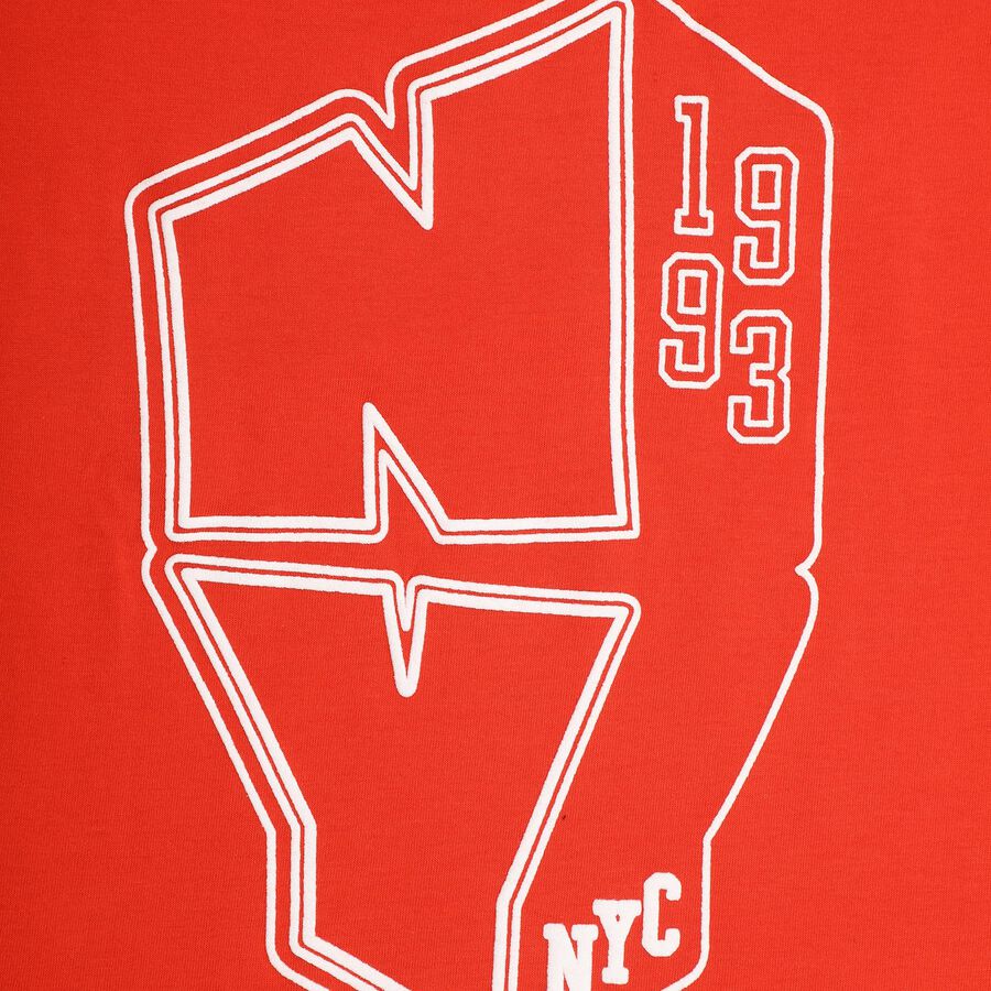 Boys' Half Sleeves T-Shirt, Red, large