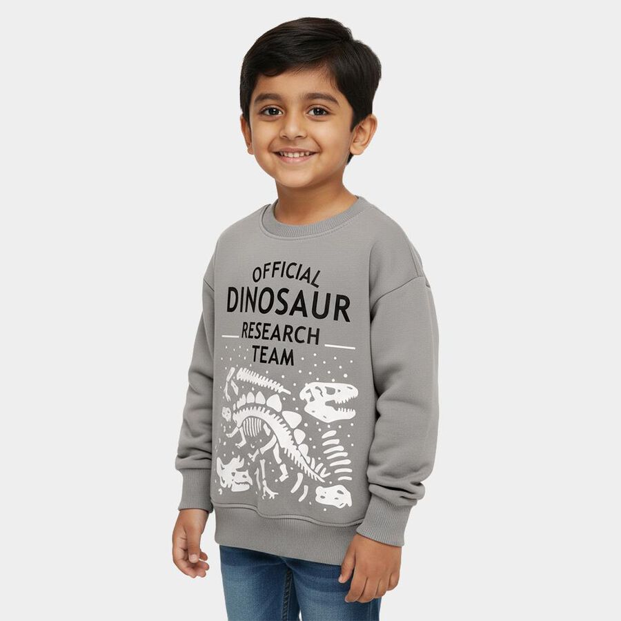 Boys Light Grey Crew Neck Casual Sweatshirt, Light Grey, large