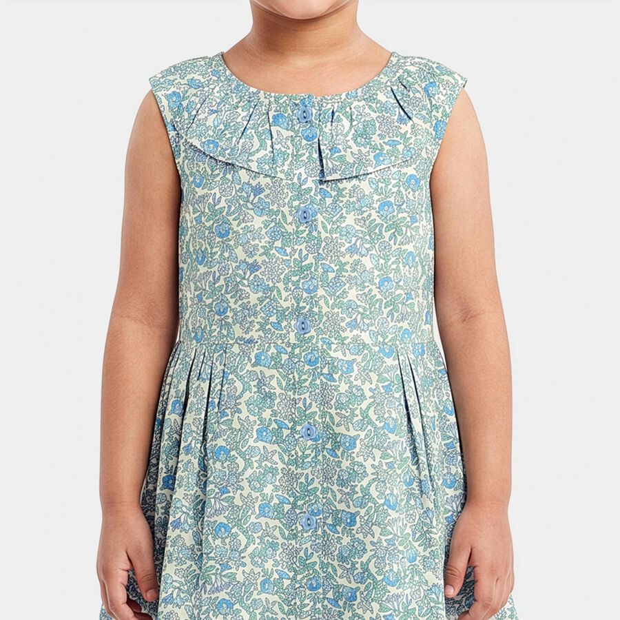 Girls' Light Blue Floral Printed Fit and Flare Frock, Light Blue, large