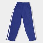 Boys' Royal Blue Dinosaur Printed Cotton Blend Pyjama, Royal Blue, small image number null