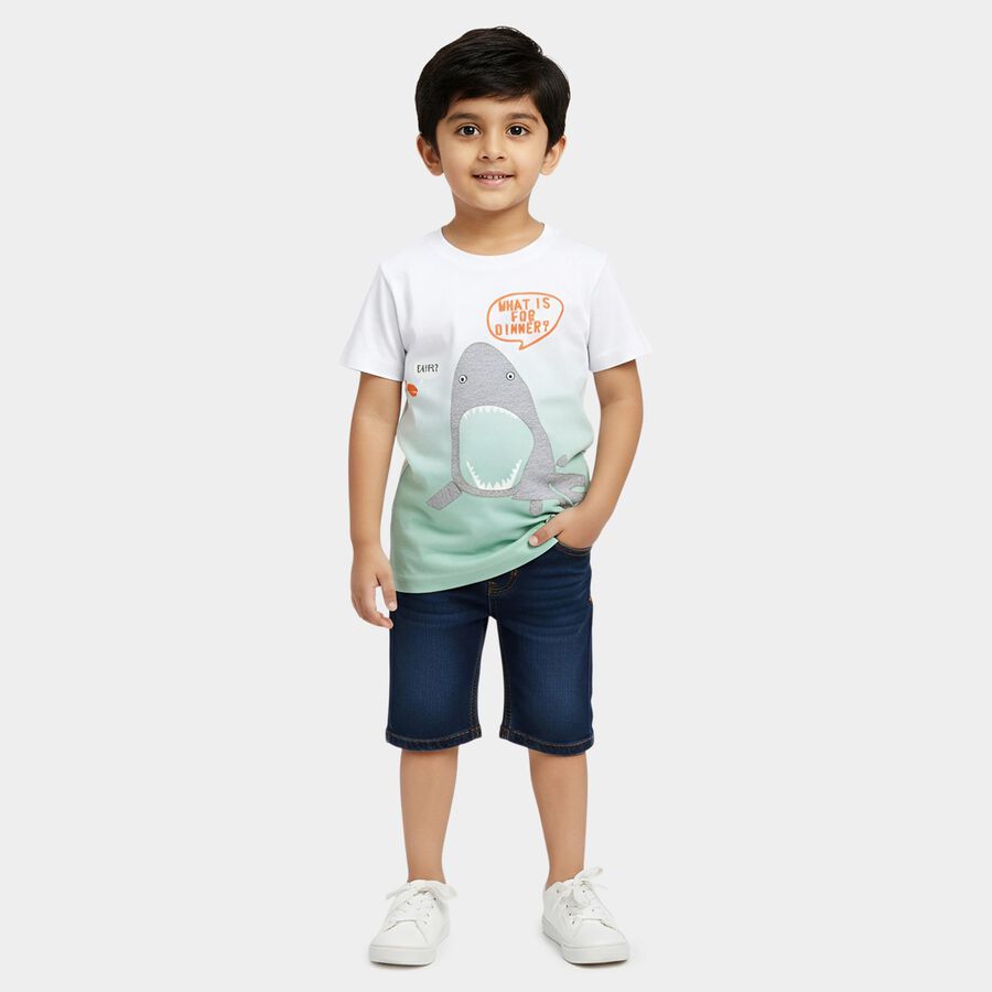 Boys' White and Mint Green Cotton Round Neck Casual T-Shirt, हल्का हरा, large