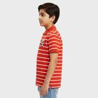 Boys Bright Cherry Red Cotton Crew Neck Casual Half Sleeve T-Shirt, Red, small
