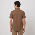 Men's Brown Cotton Regular Fit Casual Shirt, Brown, small