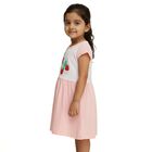 Girls' Soft Pink Strawberry Printed Flared Frock, Light Pink, small image number null