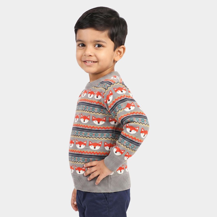 Boys Grey Crew Neck Printed Pullover, Light Grey, large