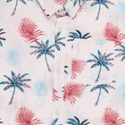 Boys' Rich Eggshell White Cotton Half Sleeve Classic Casual Shirt, White, small image number null