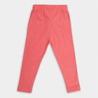 Girls' Legging, मूँगा (कोरल), small image number null