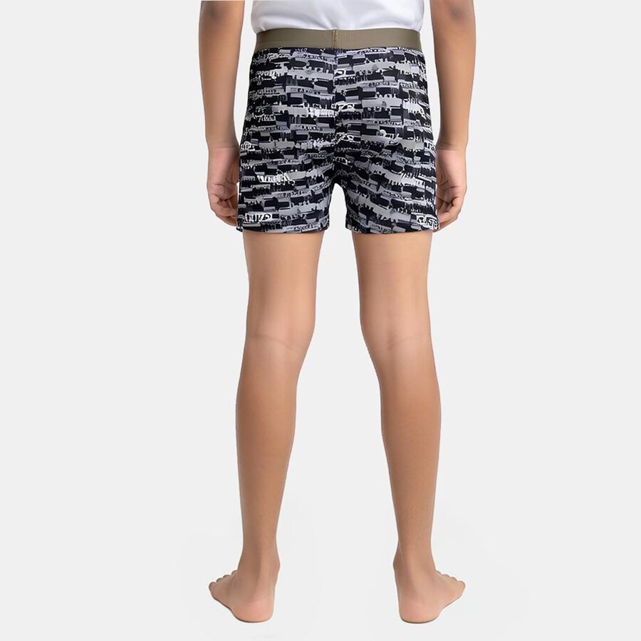 Boys' Grey Regular Fit Printed Briefs, हल्का ग्रे, large