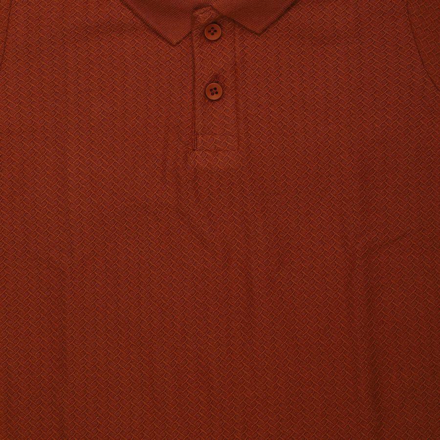 Boys Brown Polo Neck Polo T-Shirt, भूरा, large