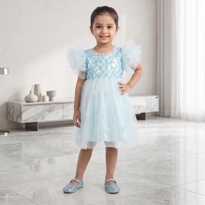 Girls' Light Blue Fit and Flare Sequin Applique Party Wear Frock