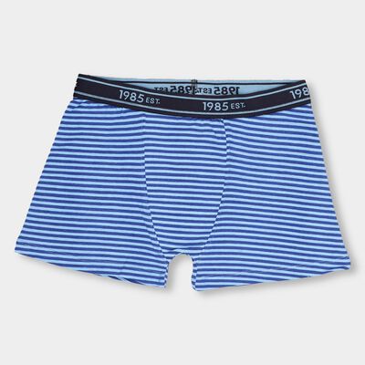 Boys' Bright Royal Blue Regular Fit Striped Briefs