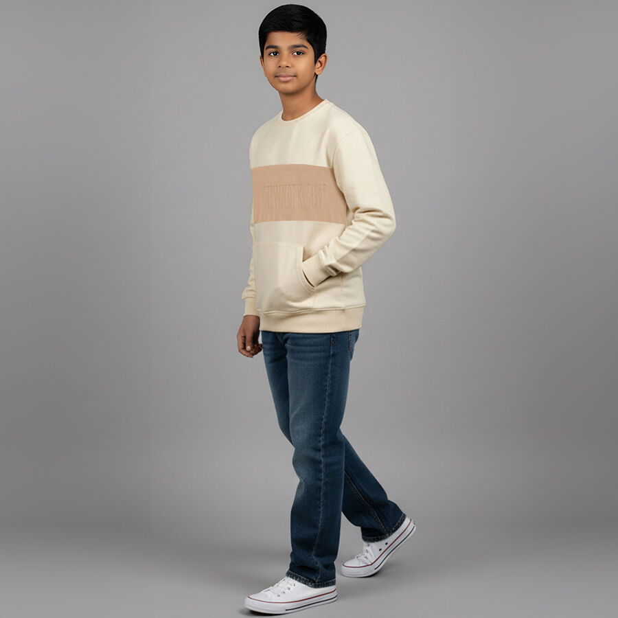 Boys Light Beige Crew Neck Casual Sweatshirt, Beige, large image number null