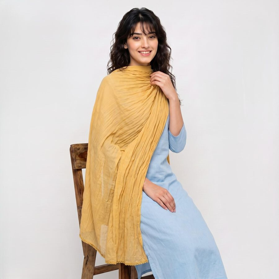 Women's Khaki Solid Dupatta, खाकी, large