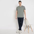 Men's 100% Cotton Round Neck Half Sleeves T-Shirt , Light Green, small image number null