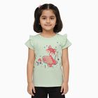 Girls Light Sage Green Cotton Round Neck Casual T-Shirt, Light Green, small image number null