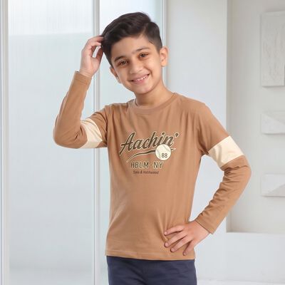 Boys Brown Round Neck Regular Boys T-Shirt