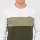 Men Olive Green Crew Neck Colorblocked T-Shirt, हल्का हरा, small
