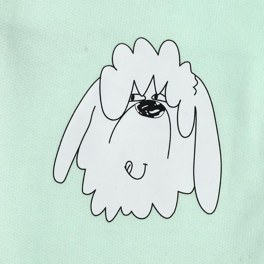 Boys Mint Green Cartoon Printed Elastic Waist Pyjama, हल्का हरा, large image number null