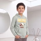 Boys' Mint Green Hoodie Neck Graphic Print Sweatshirt, हल्का हरा, small