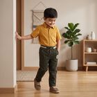 Boys' Olive Green Regular Fit Drawstring Trousers, ओलिव, small