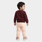 Infant's Wine and Peach Round Neck Graphic Printed Hipster Set, Wine, small