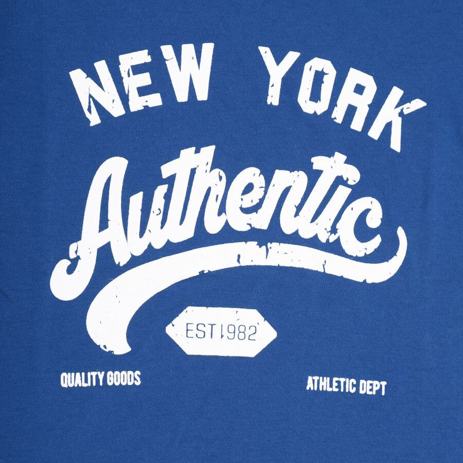 Boys' Half Sleeves T-Shirt, रॉयल ब्लू, large image number null