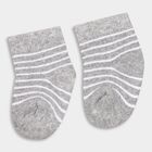 Infant's Socks (Pack of 2), Melange Light Grey, small image number null