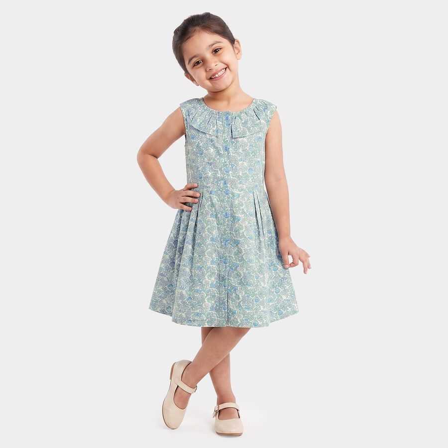 Girls' Light Blue Floral Printed Fit and Flare Frock, Light Blue, large