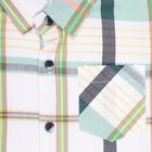 Boys Rich Eggshell White and Muted Sage Green Button Down Casual Shirt, White, small image number null
