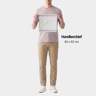 Men's White Striped Pack of 3 Handkerchief, White, small