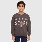 Boys Dark Chocolate Brown Crew Neck Graphic Sweatshirt, Charcoal, small image number null