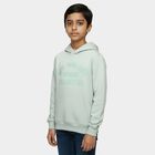 Boys Light Sage Green Hooded Neck Casual Sweatshirt, Light Green, small image number null