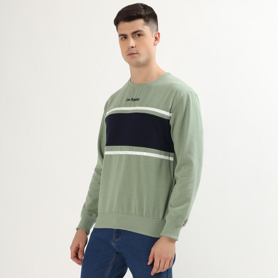 Men's Light Sage Green Crew Neck Casual Sweatshirt, हल्का हरा, large image number null