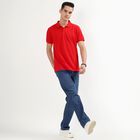 Men's Collared Half Sleeves T-Shirt, लाल, small