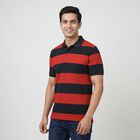 Men's Red Polo Neck Preppy T-Shirt, लाल, small