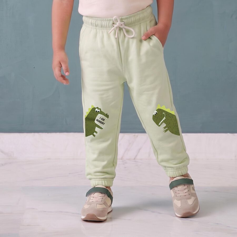Boys' Mint Green Jogger Fit Dinosaur Pyjama, हल्का हरा, large