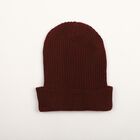 Women's Maroon Ribbed Beanie Cap, वाइन, small