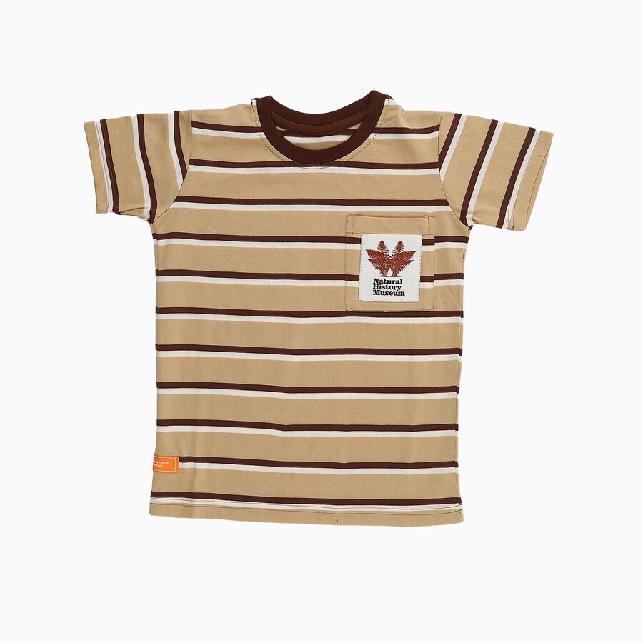 Boys Beige and Brown Crew Neck Casual T-Shirt, गहरा पीला, large
